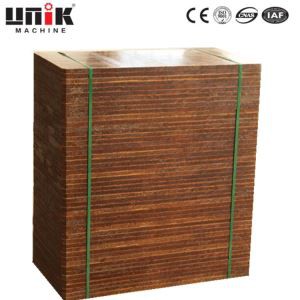 Bamboo Pallets